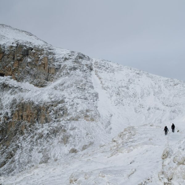 Detailed Introduction of Sanding Cloth