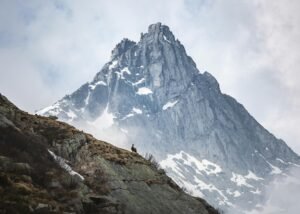 Waterproof Frosting: A Detailed Introduction