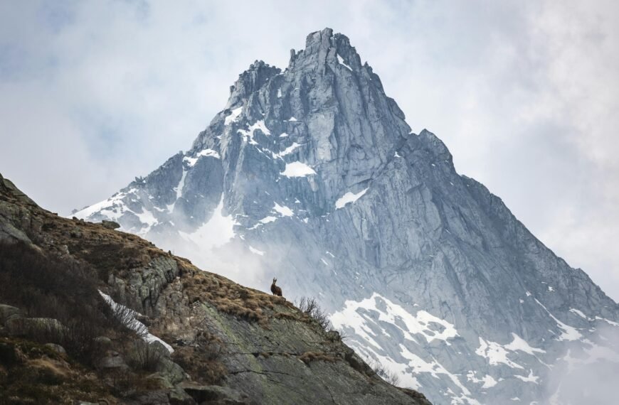 Waterproof Frosting: A Detailed Introduction